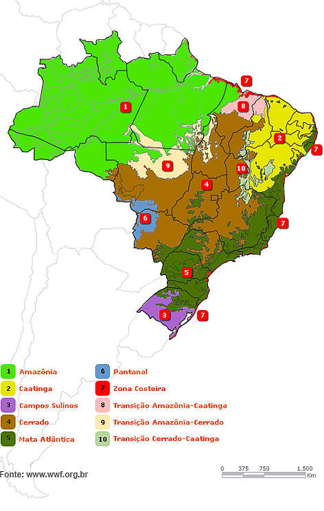  / ©: WWF-Brasil