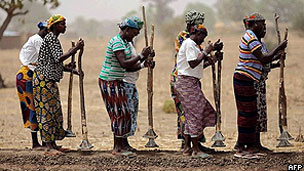 Mulheres africanas cultivam campo (AFP)