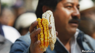 Protesto de fazendeiros mexicanos contra milho transgênico. |Foto: Reuters