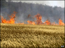 Incêndio próximo a campo de trigo