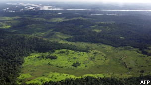 Amazônia brasileira (Arquivo / AFP)