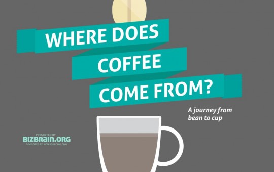 Where does coffee come from?