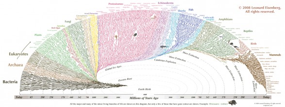 The Great Tree of Life