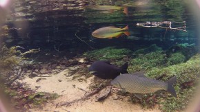 As belezas naturais de Bonito