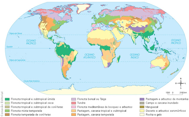 Vegetação mundial em Geografia