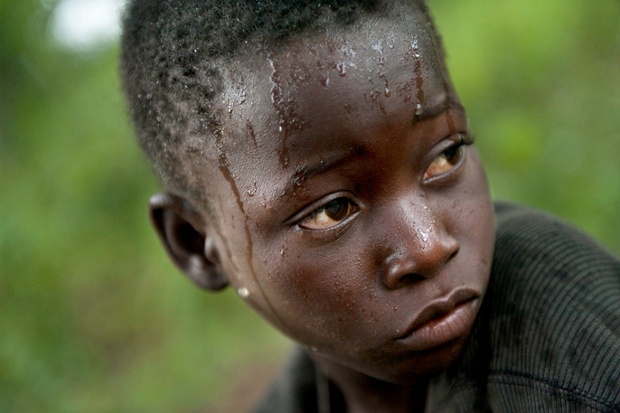 Ninankor Gmafu aged 6 is typical of children  all over the world who work to support their familes. Here he herds cattle in the rain in the Volta region of Ghana. He dreams of going to school, but that is very unlikely.